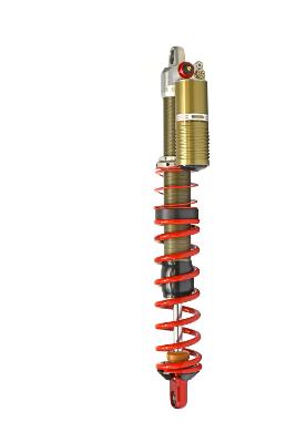 LECOZ - "RaRe" Front Shock Absorber